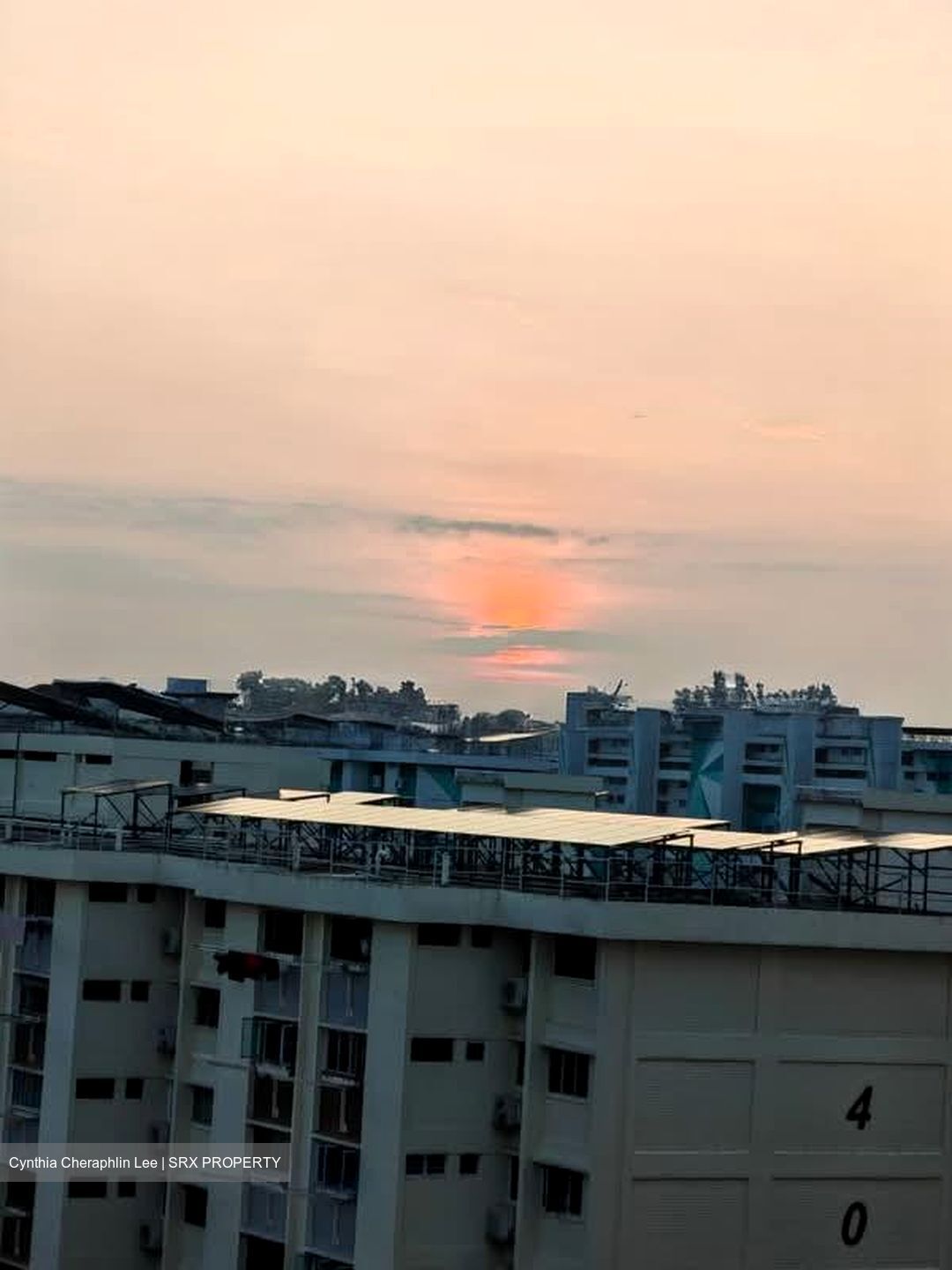 Blk 430A Bedok North Woods (Bedok), HDB 3 Rooms #573177851